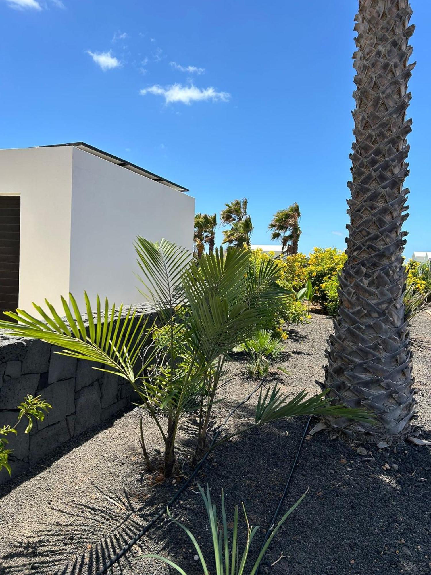 Bejeque Villa *
